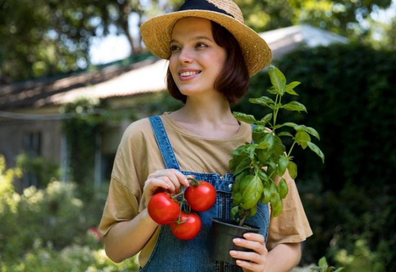 10 jednostavnih savjeta za uspješan uzgoj rajčice na balkonu